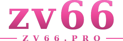 zv66 logo